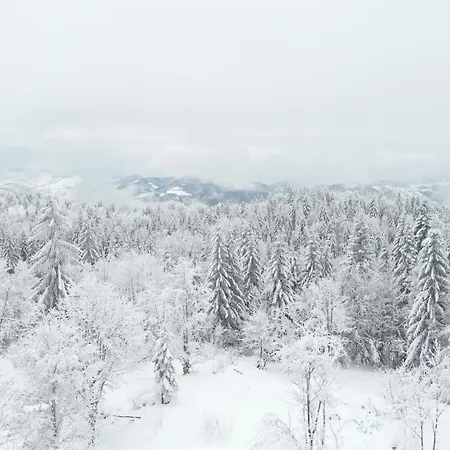 Chalet Planinska Koliba Aba-tara *