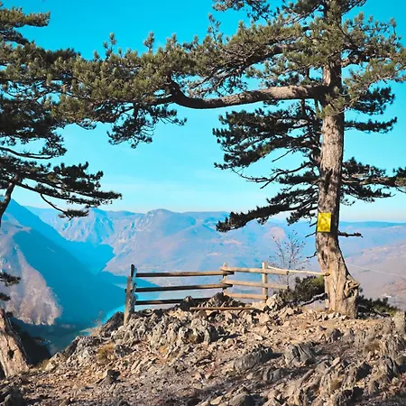 Planinska Koliba Aba-tara Chalet Bajina Basta
