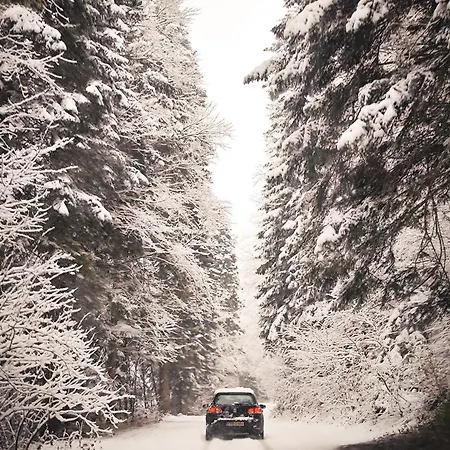 Chalet Planinska Koliba Aba-tara Bajina Basta